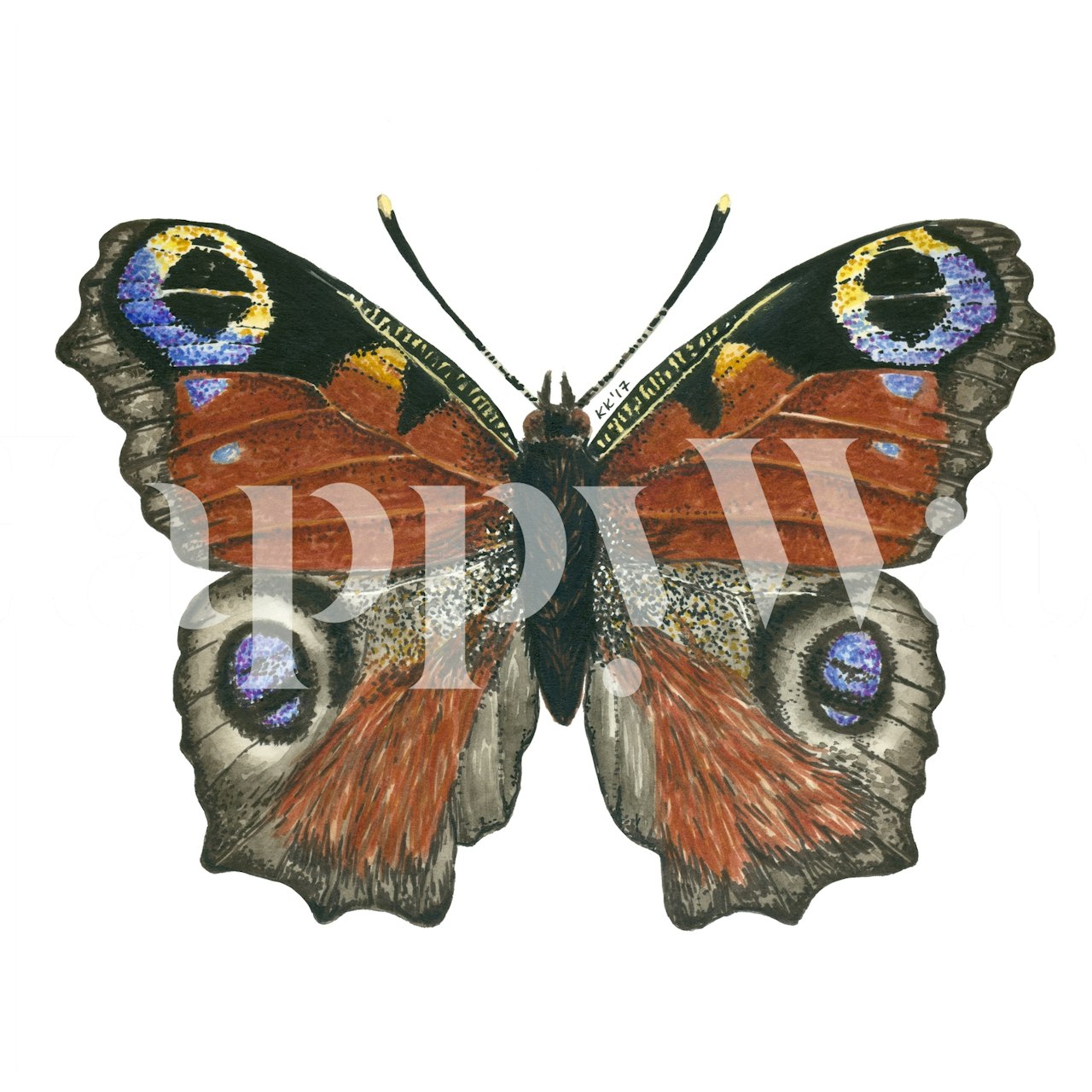 Peacock butterfly illustration in rich colors wallpaper