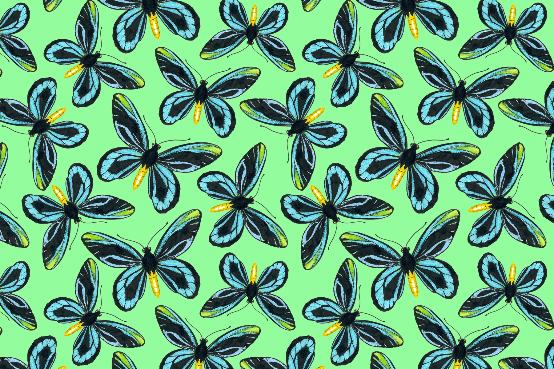 Queen Alexandra Birdwing Wallpaper - Buy Now at Happywall.com