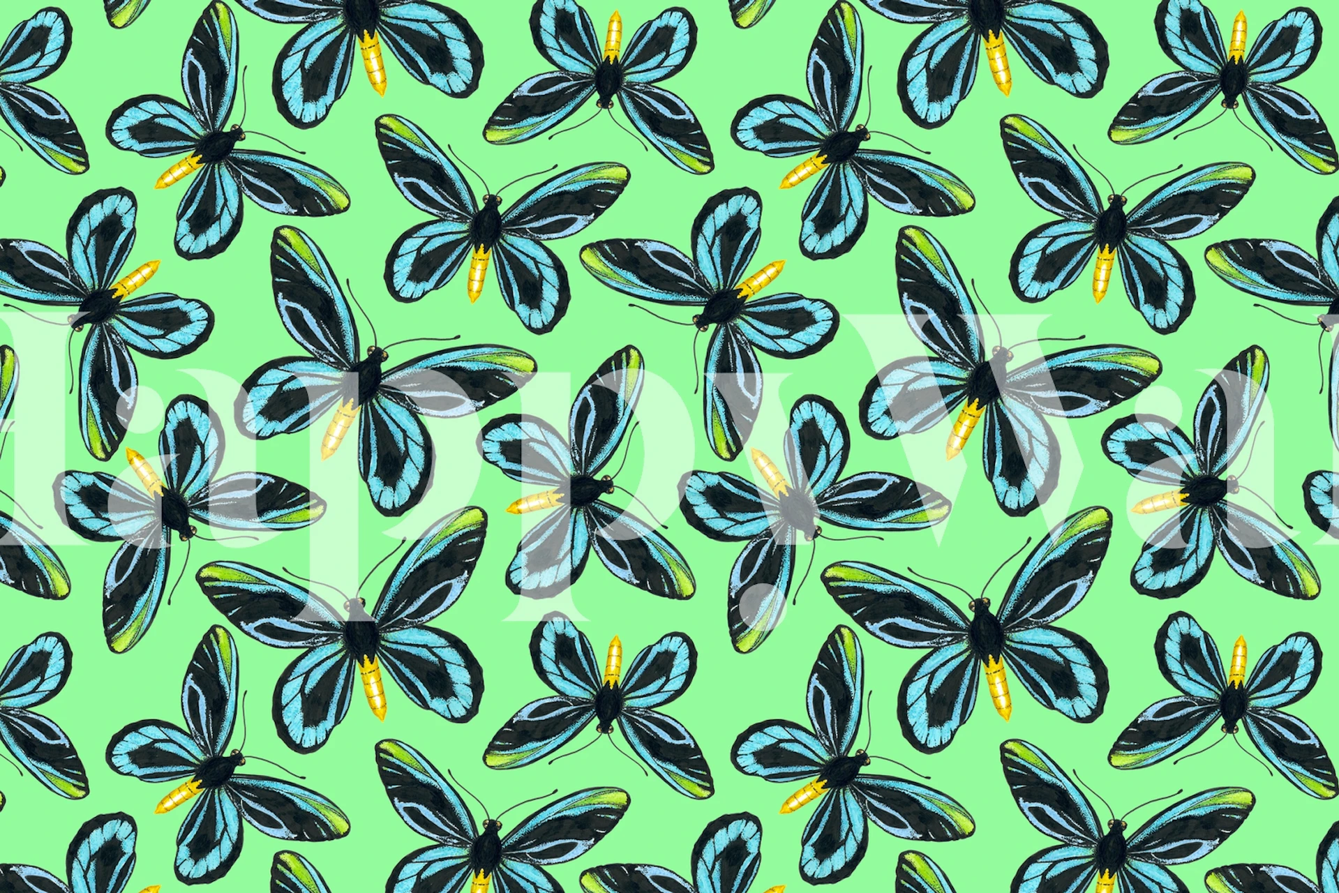 Queen Alexandra birdwing butterfly pattern on aqua background wall mural