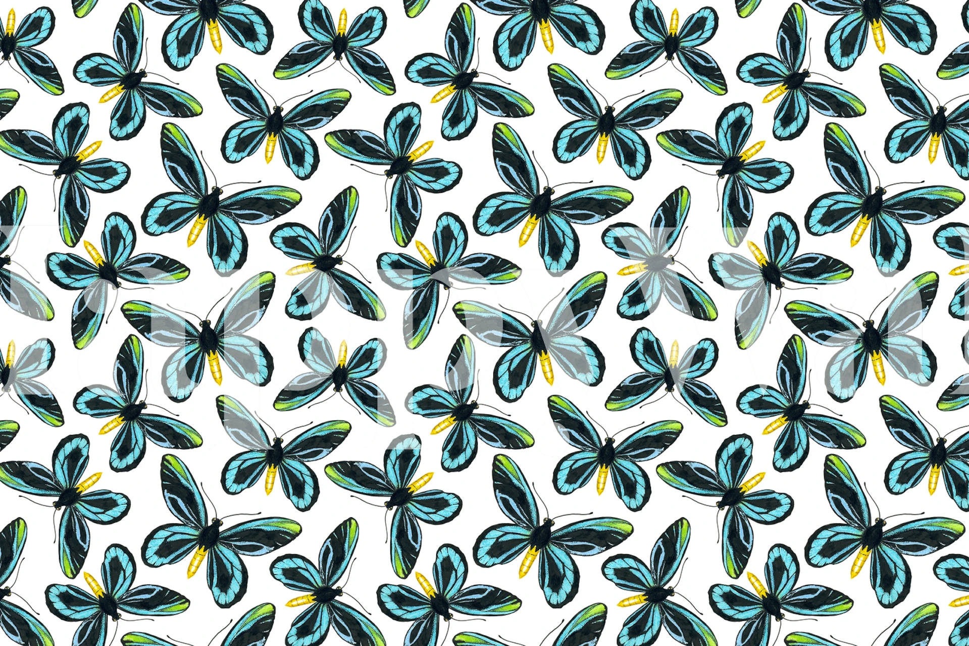 Blue butterflies on a white background wallpaper