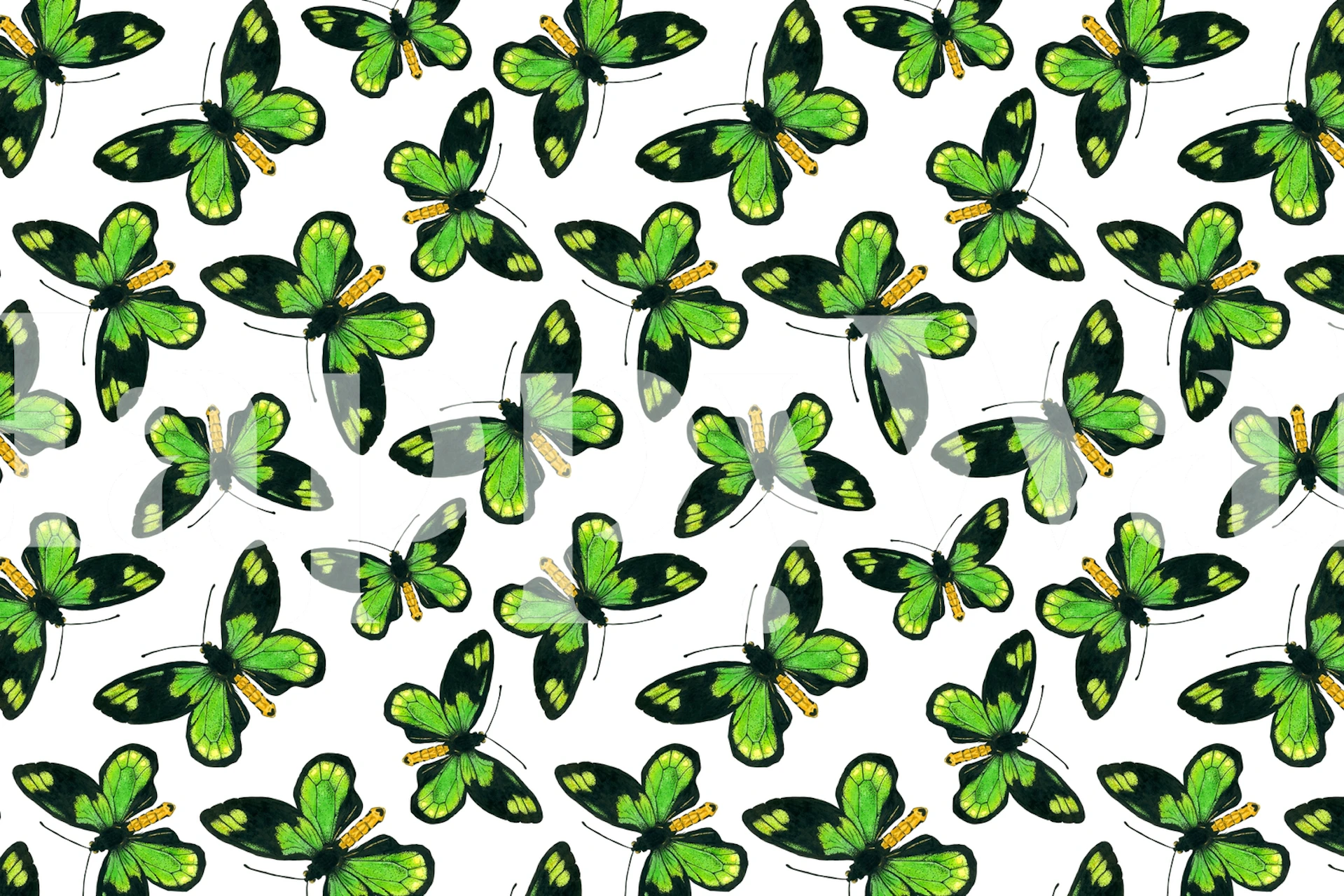 Dronning Victoria birdwing sommerfugl mønster veggtapet