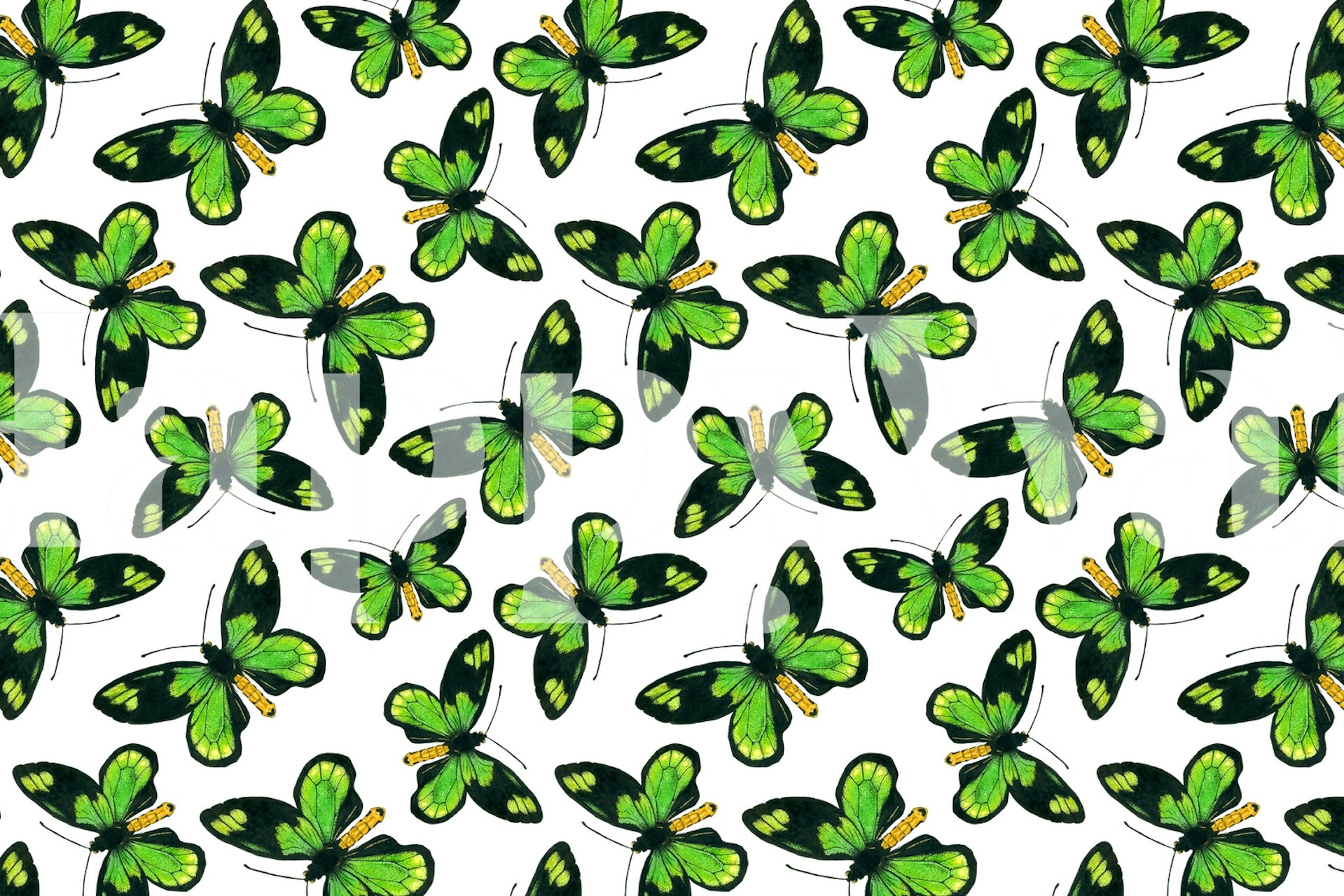 Green butterflies with yellow details on a white background wallpaper