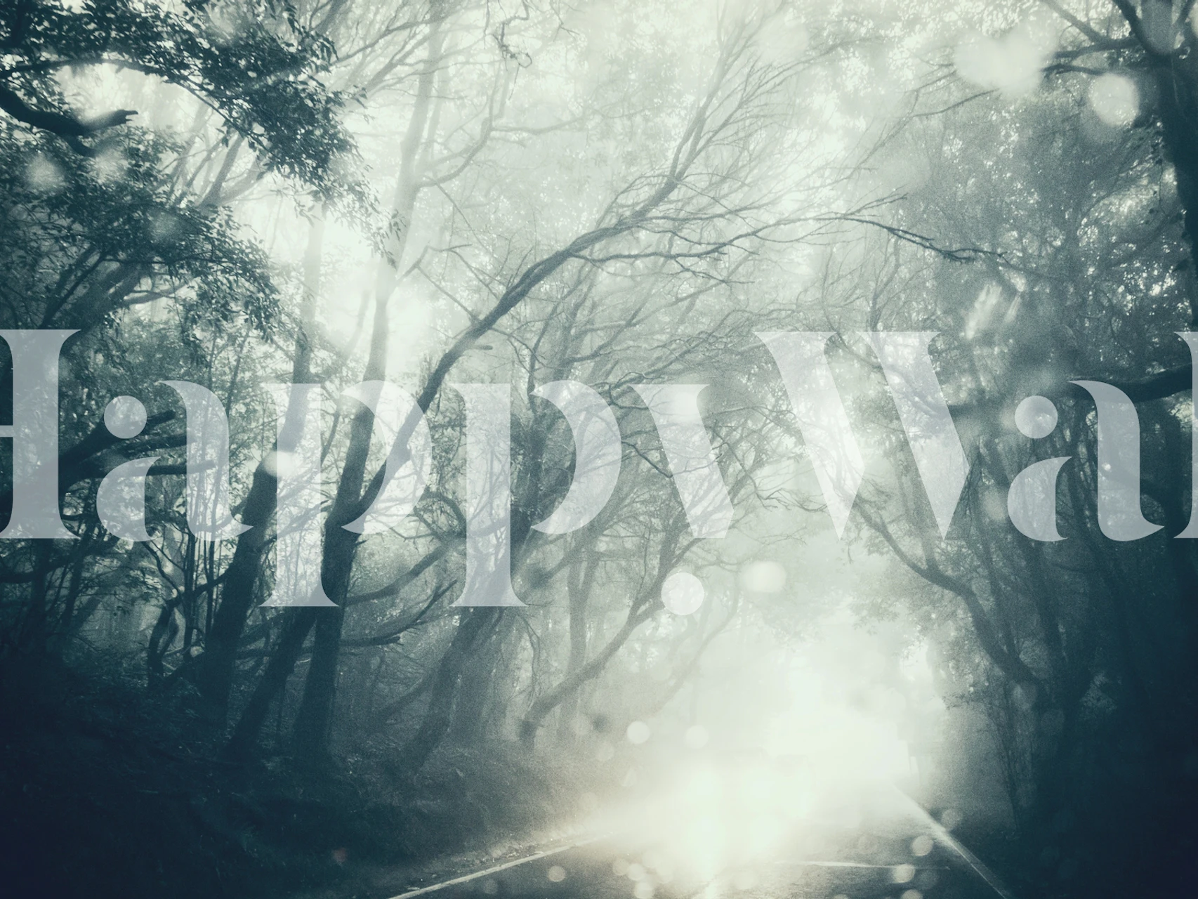 Misty forest scene with trees shrouded in fog, monochrome wallpaper