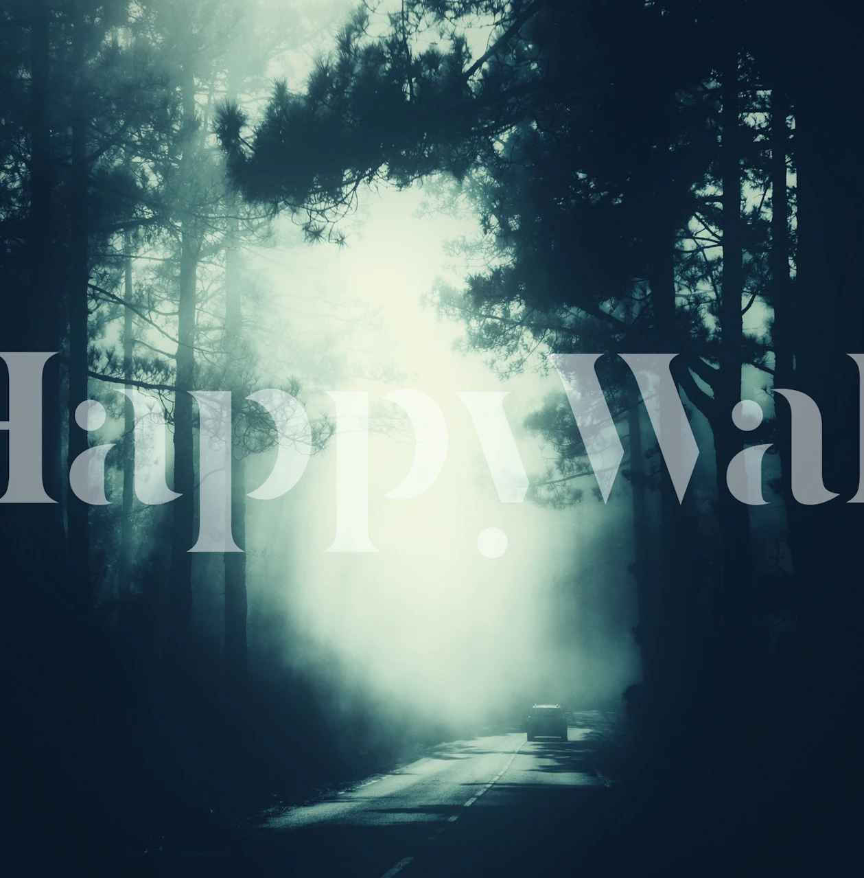 Misty forest scene with dark trees and a foggy road wallpaper