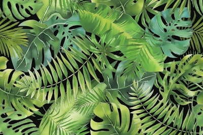 Mural