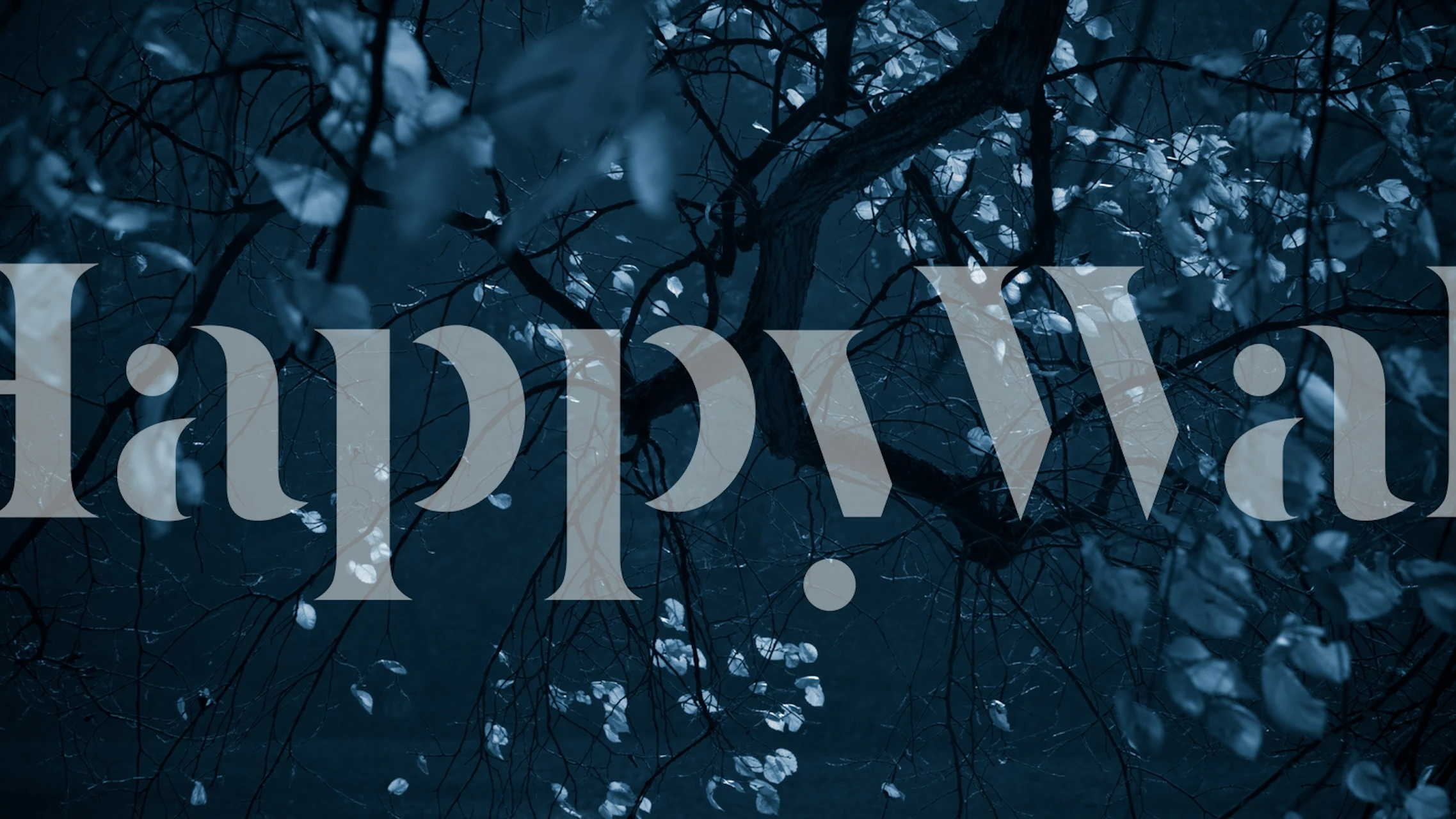 Dark branches with light leaves in blue tones wallpaper