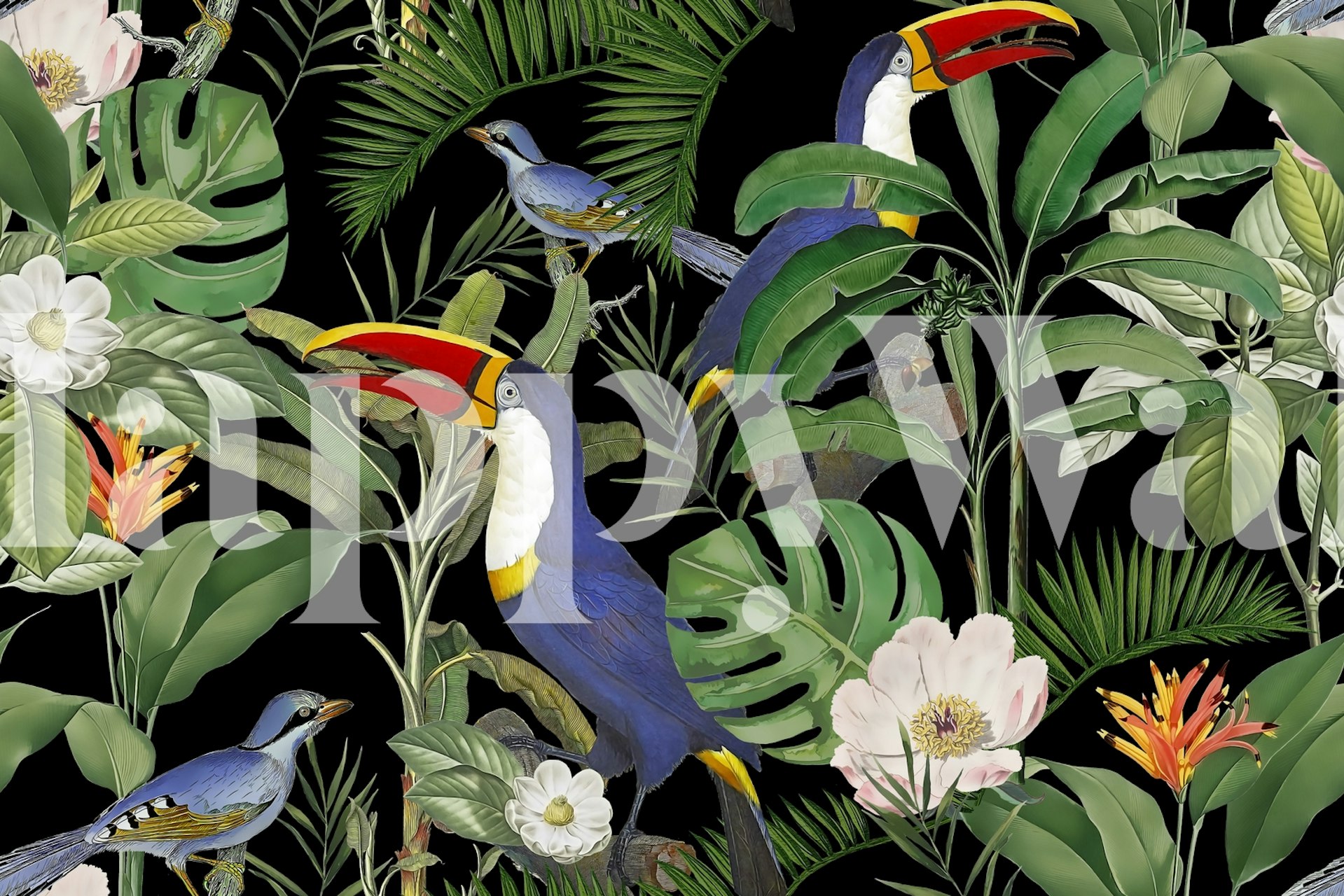 Fototapeta Tropical Jungle Tucans s exotickým ptactvem a bujnou zelení