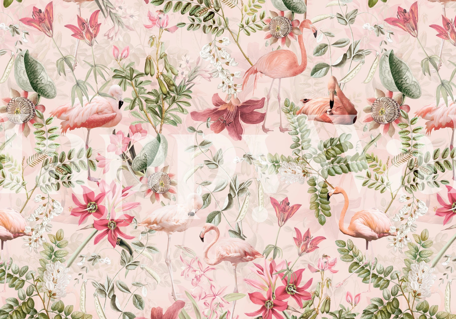 Vintage Blush Tropical Jungle seinäpaperi huoneessa