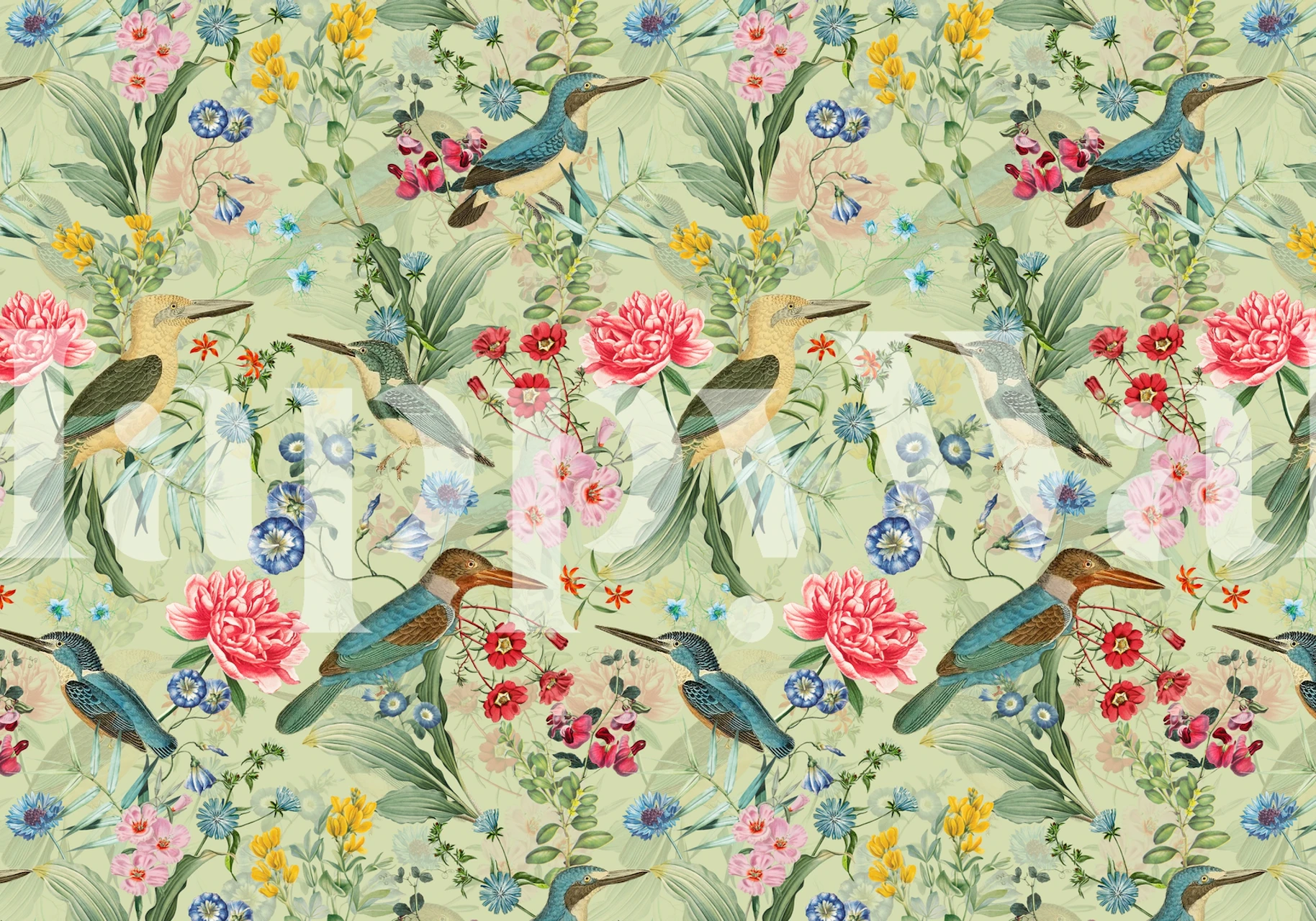 Vintage kingfishers wallpaper in a room