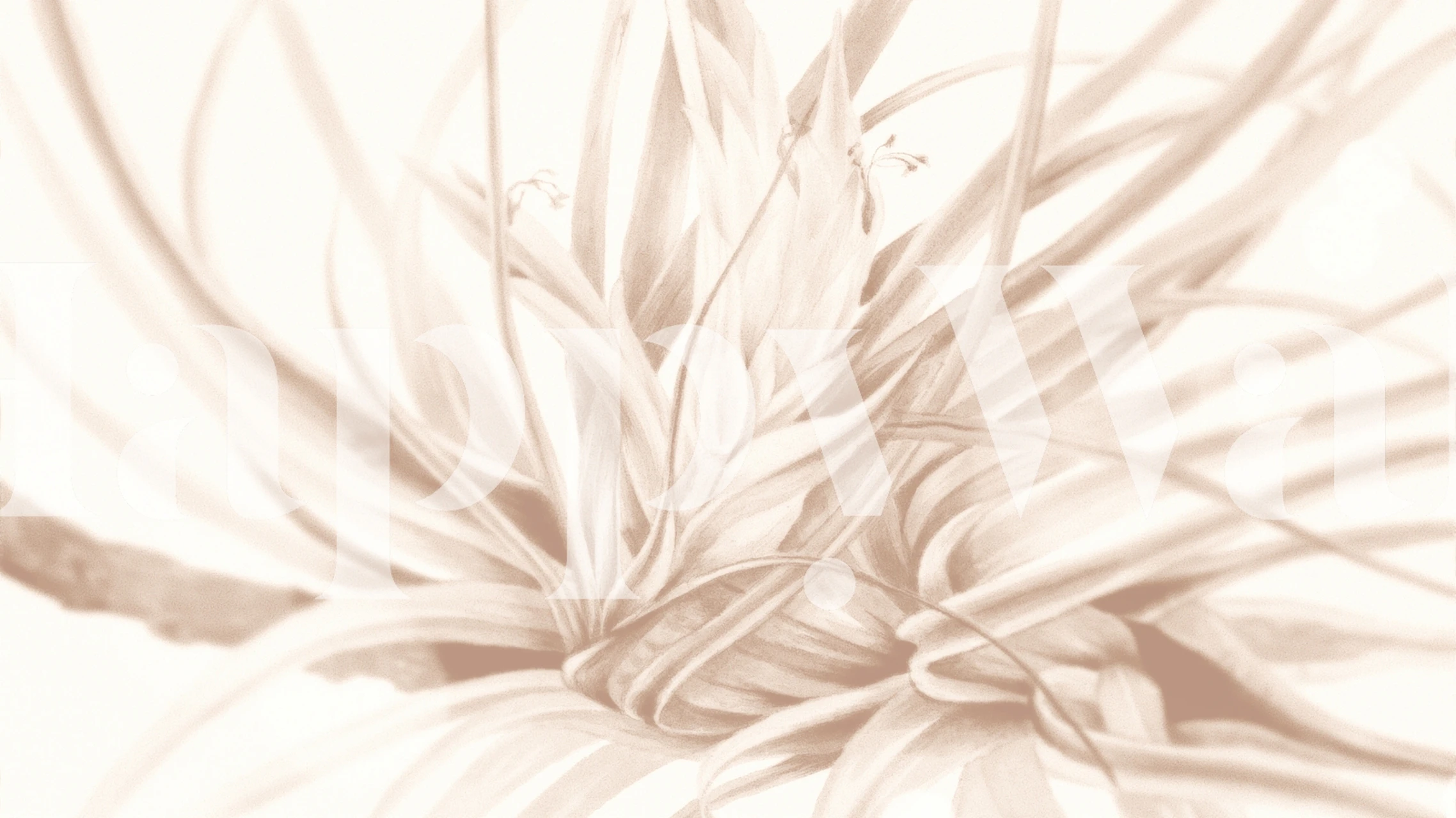 Beige tropical floral wallpaper with delicate soft petals and leaves