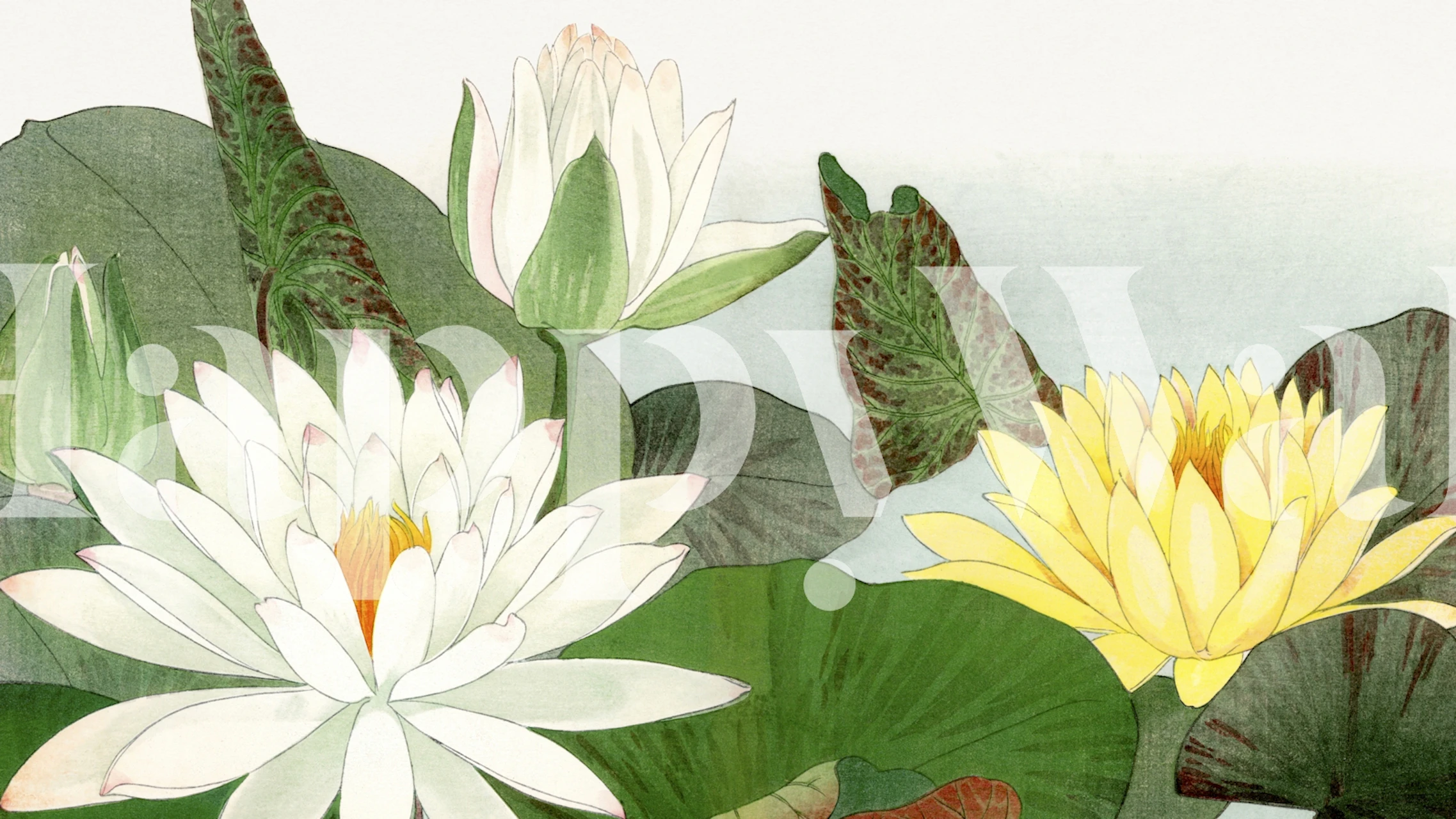 Vintage Lotus Flower tapeta v pokoji