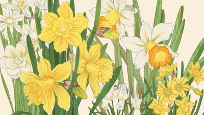 Mural