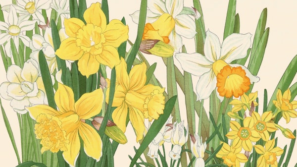 Vintage Spring Floral