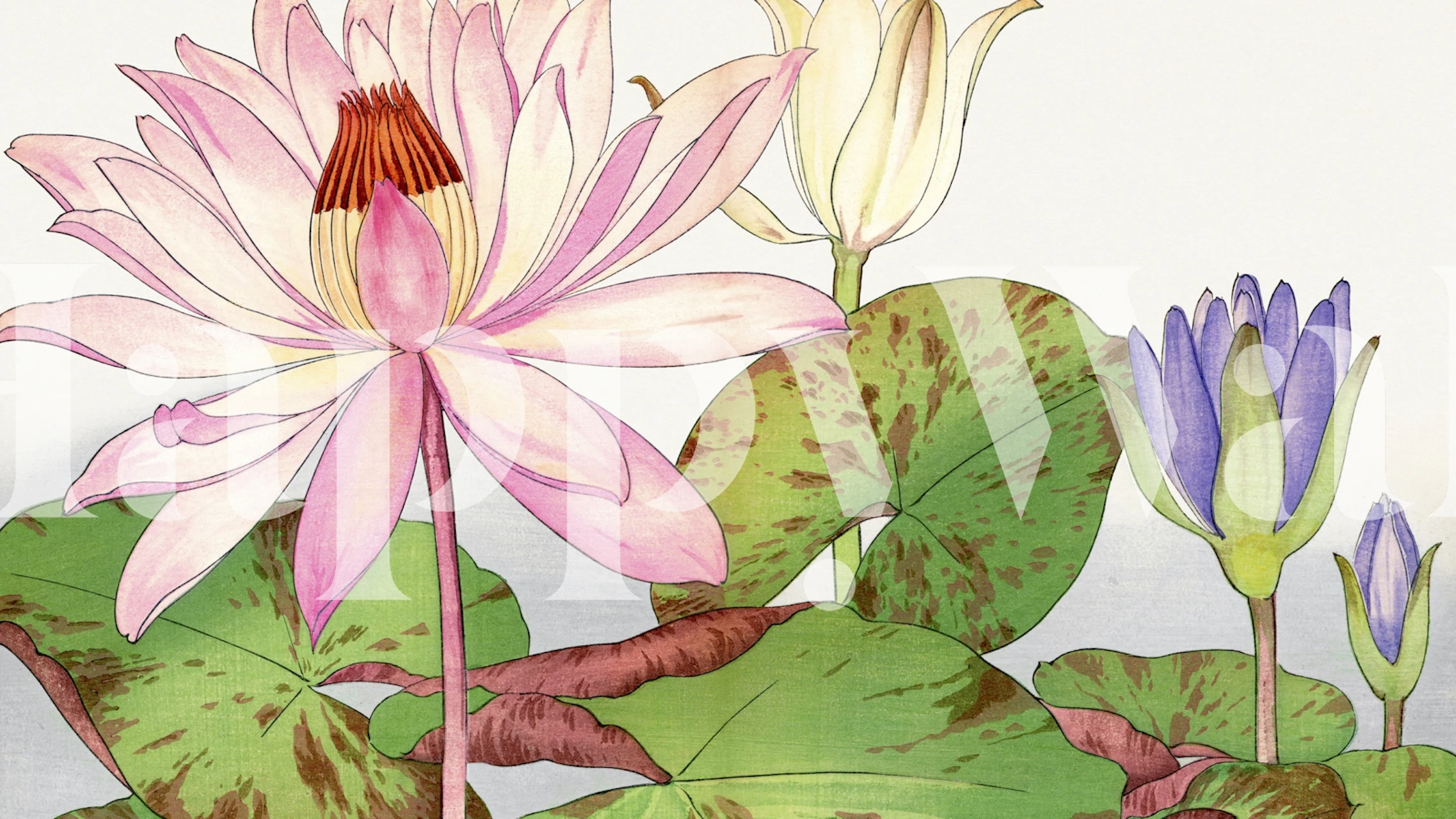 Design de papel de parede Vintage Lotus Floral