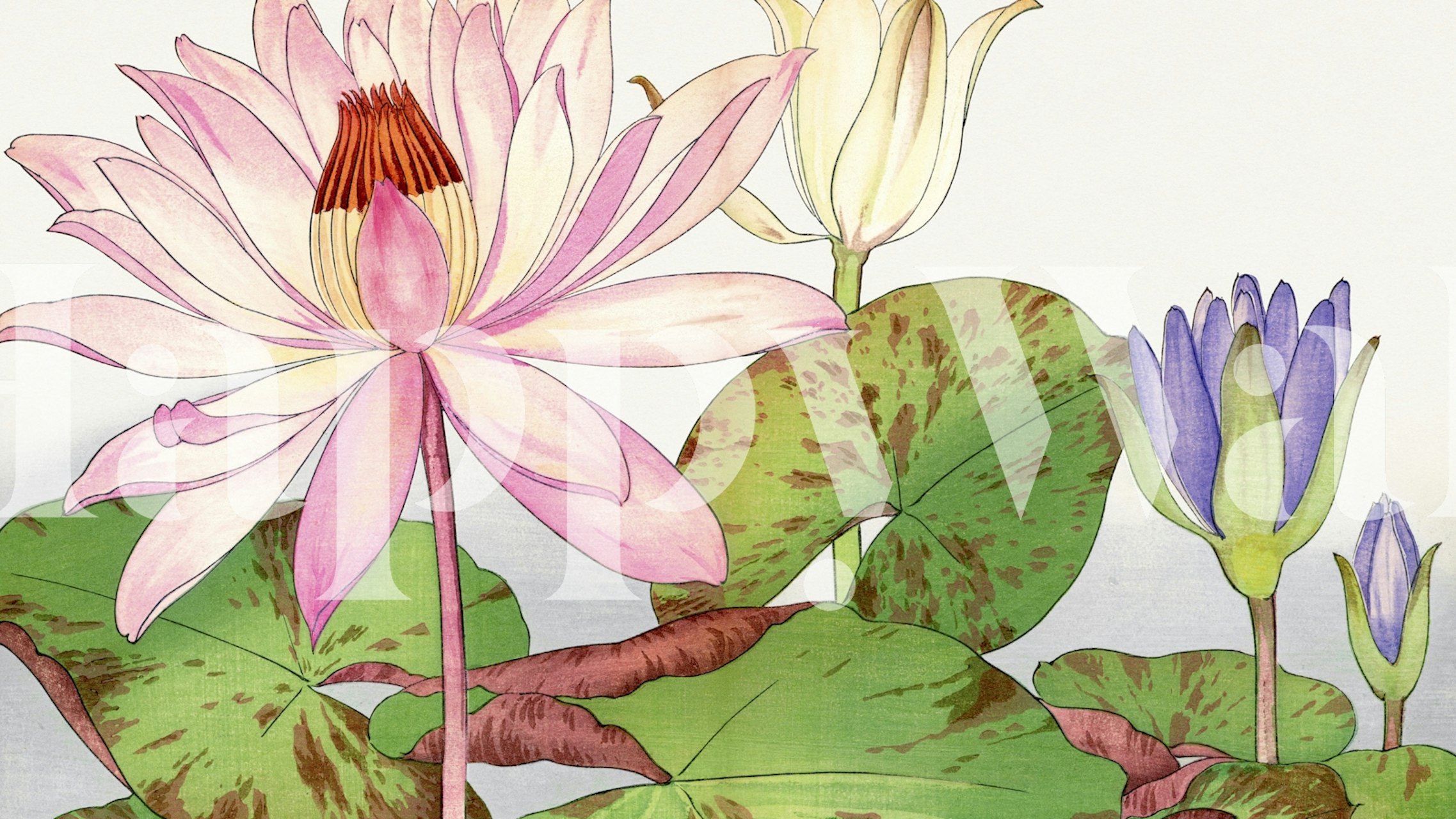 Vintage lotus floral wallpaper design