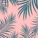 Palm Leaves Pattern Blush 1