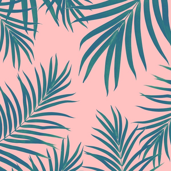 Palm Leaves Pattern Blush 1