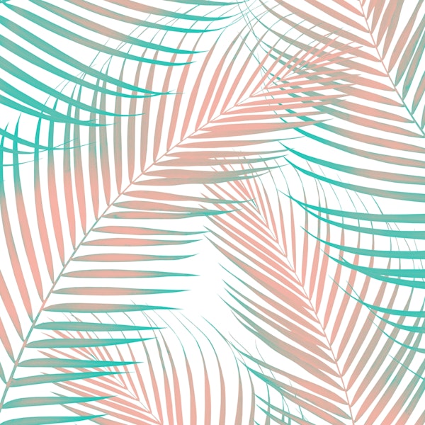 Palm Leaves  Cali Vibes 1