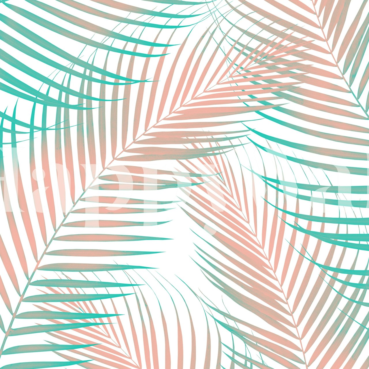 Tropical palm leaves in pink and green tones wallpaper