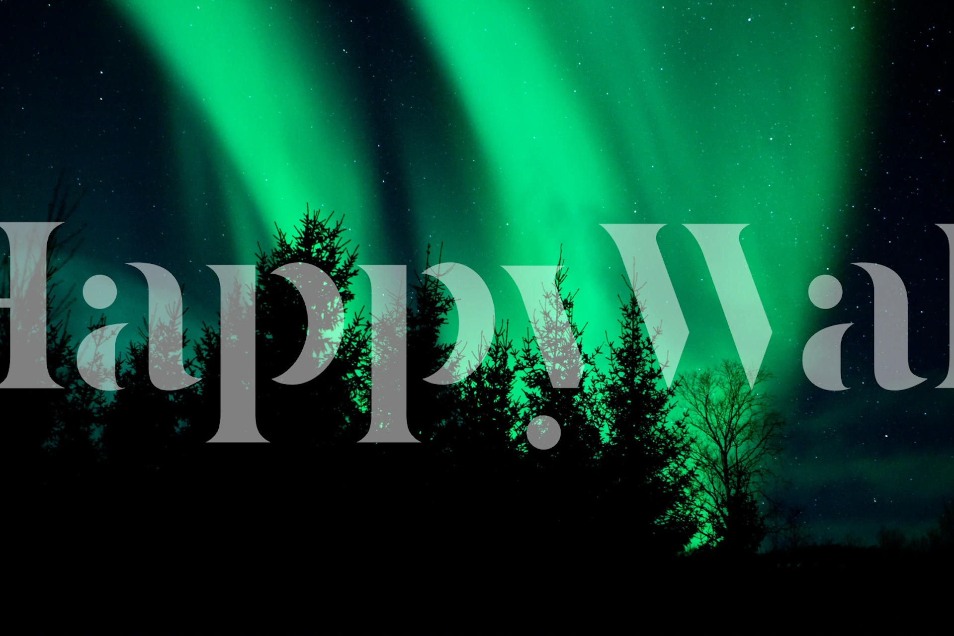 Polarna svjetlost aurora borealis preko zidne slike siluete šume