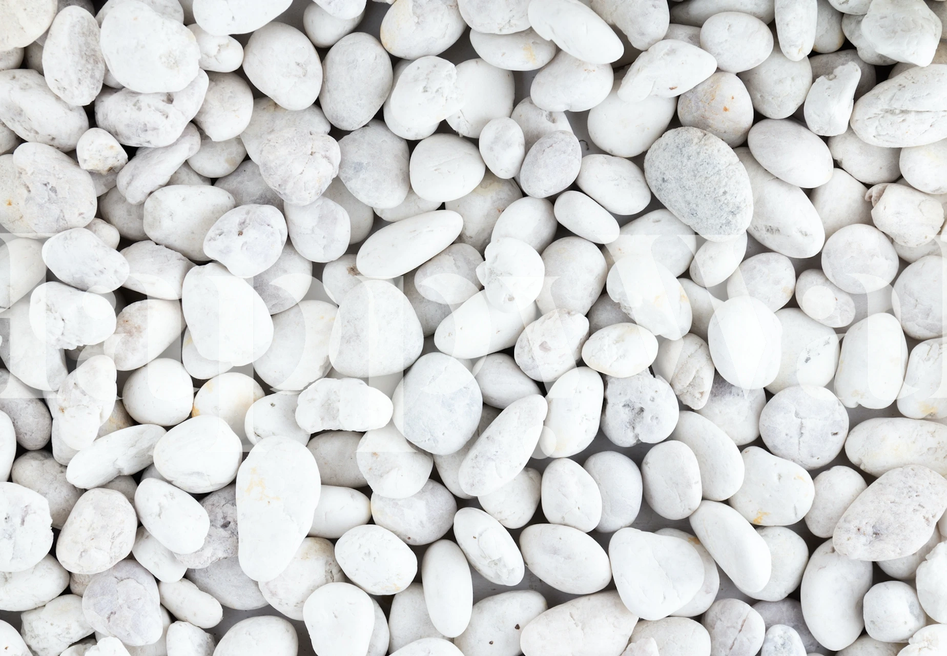 Wall mural of smooth white pebbles creating a tranquil, textured look