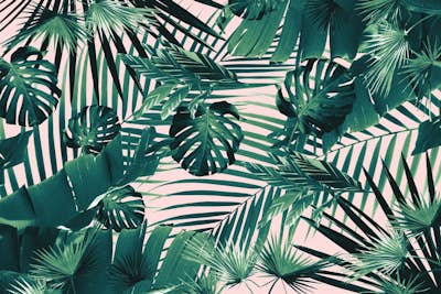 Τοιχογραφία