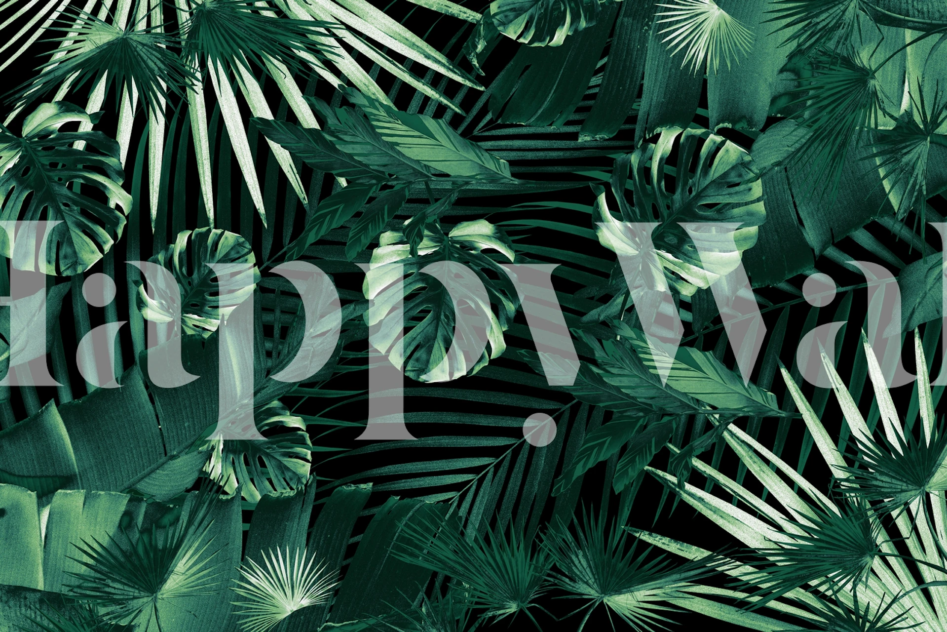 Tropical green palm leaves on black background wallpaper
