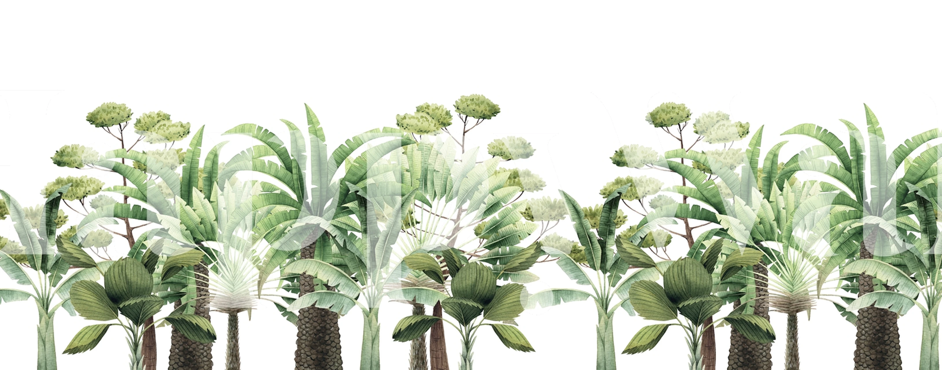 Tropical trees with lush green leaves and trunks wallpaper