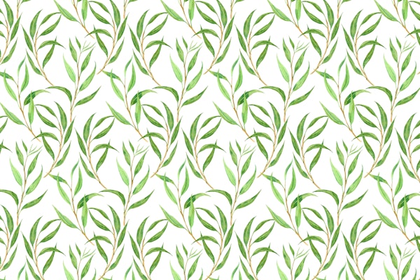 Eucalyptus watercolor 2