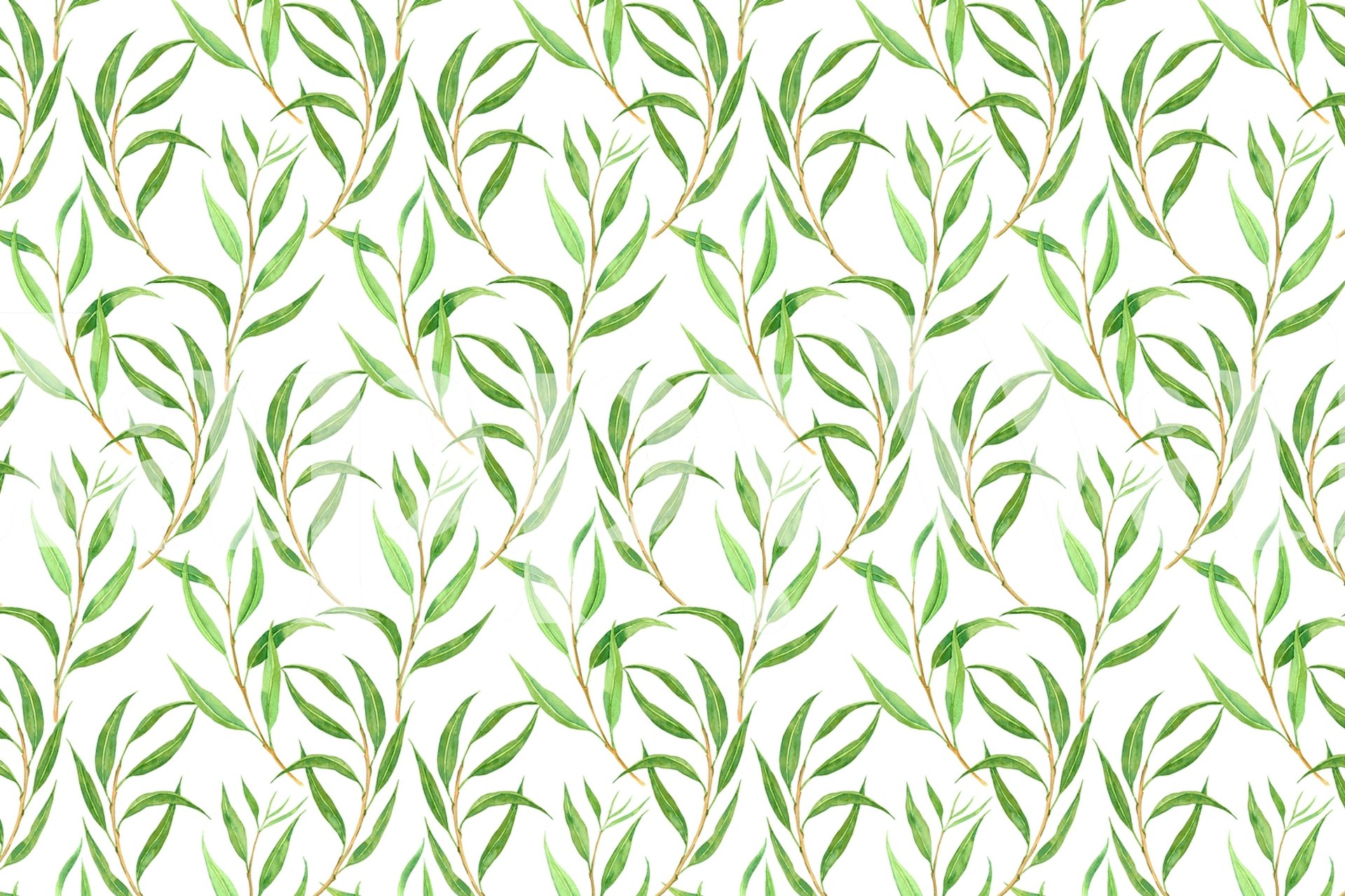 tapeta Eucalyptus watercolor v místnosti