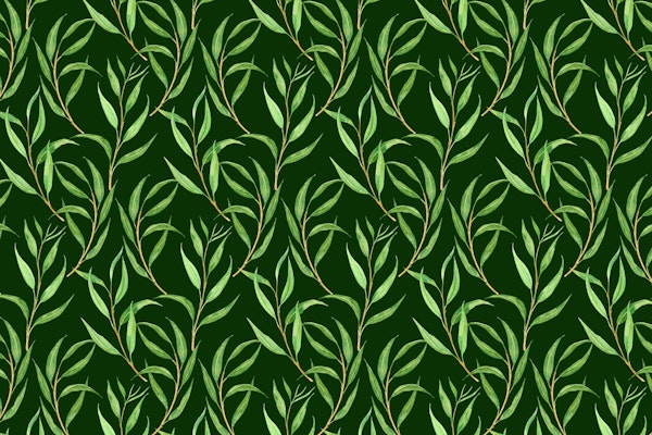 Eucalyptus watercolor 3