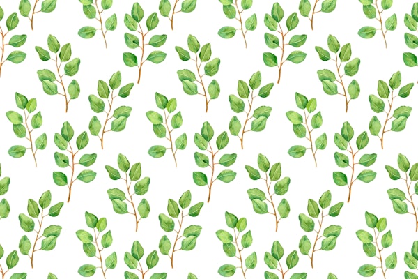 Eucalyptus watercolor 4