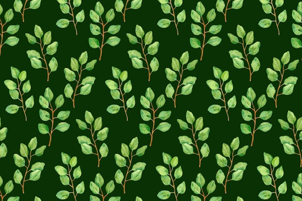 Eucalyptus watercolor 5