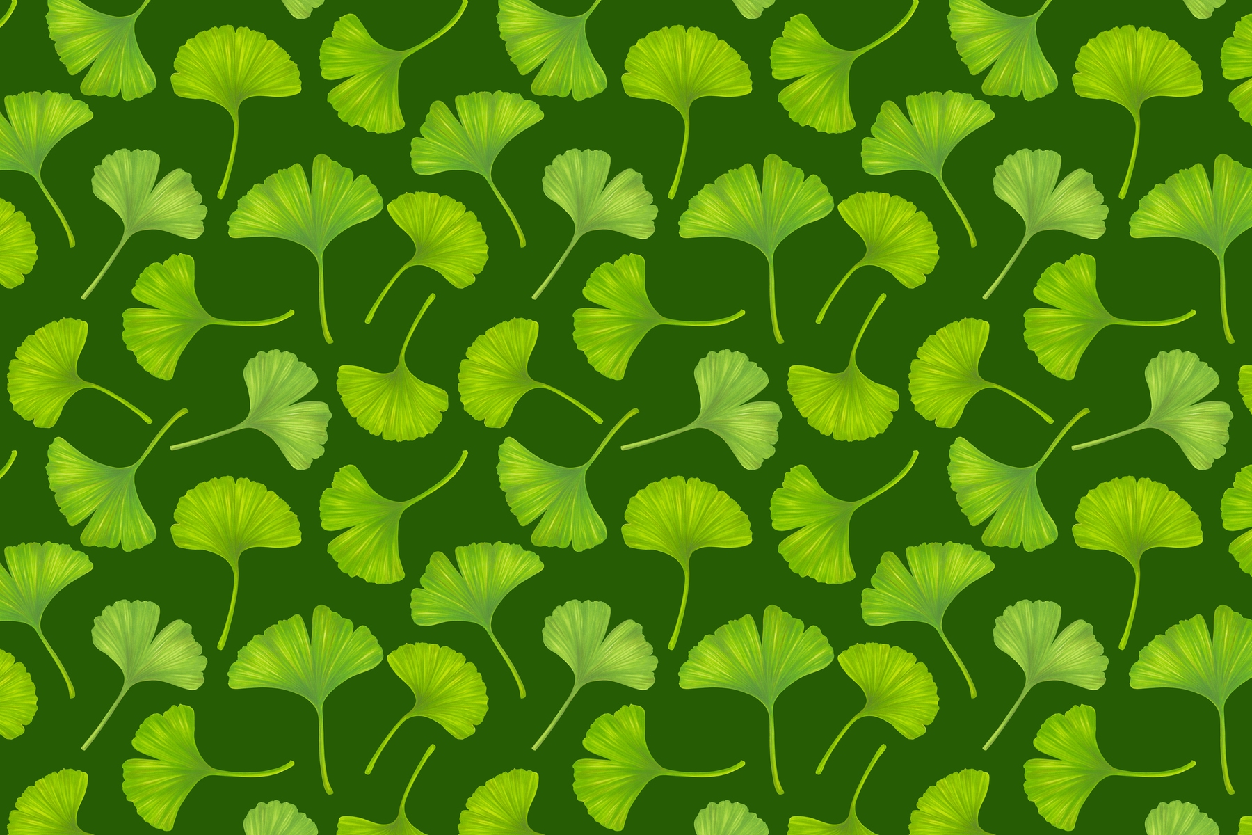 Ginkgo Leaves on Dark Green Wallpaper - Happywall