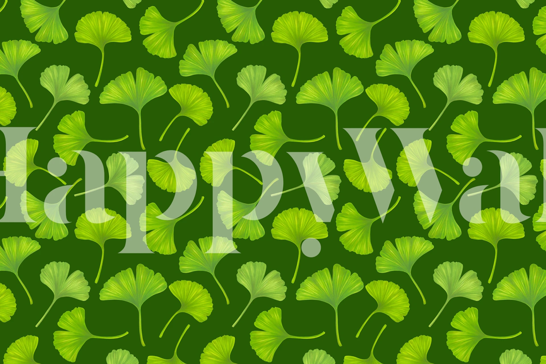 Green ginkgo leaves on dark green background wallpaper