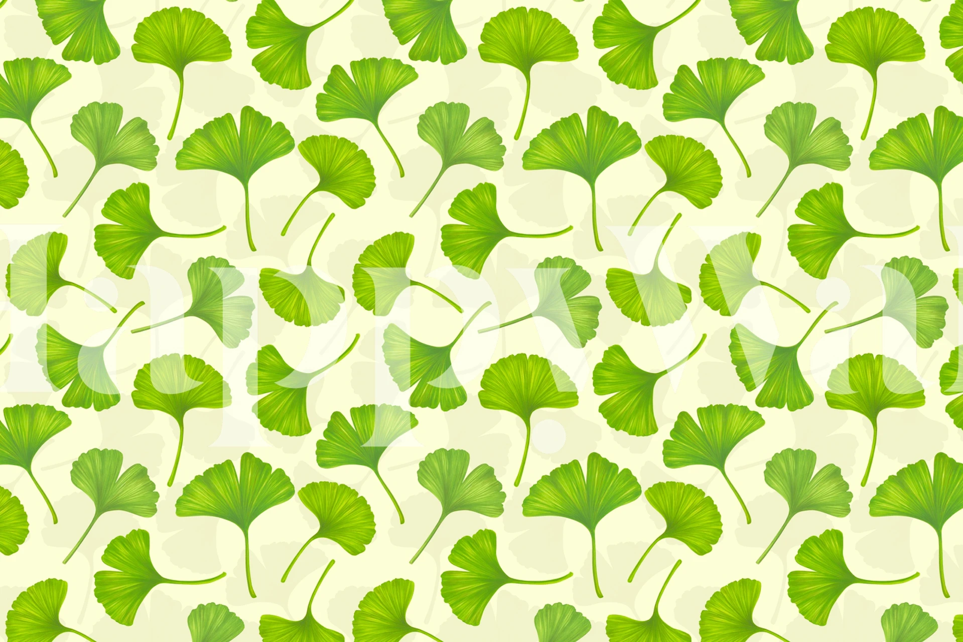 Ginkgo Leaves on Off White Wall Mural