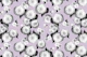 Spring Floral Dream 9