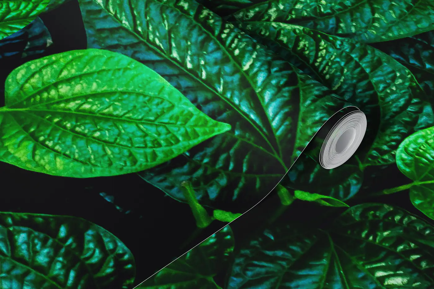Green leaves explosion wallpaper roll