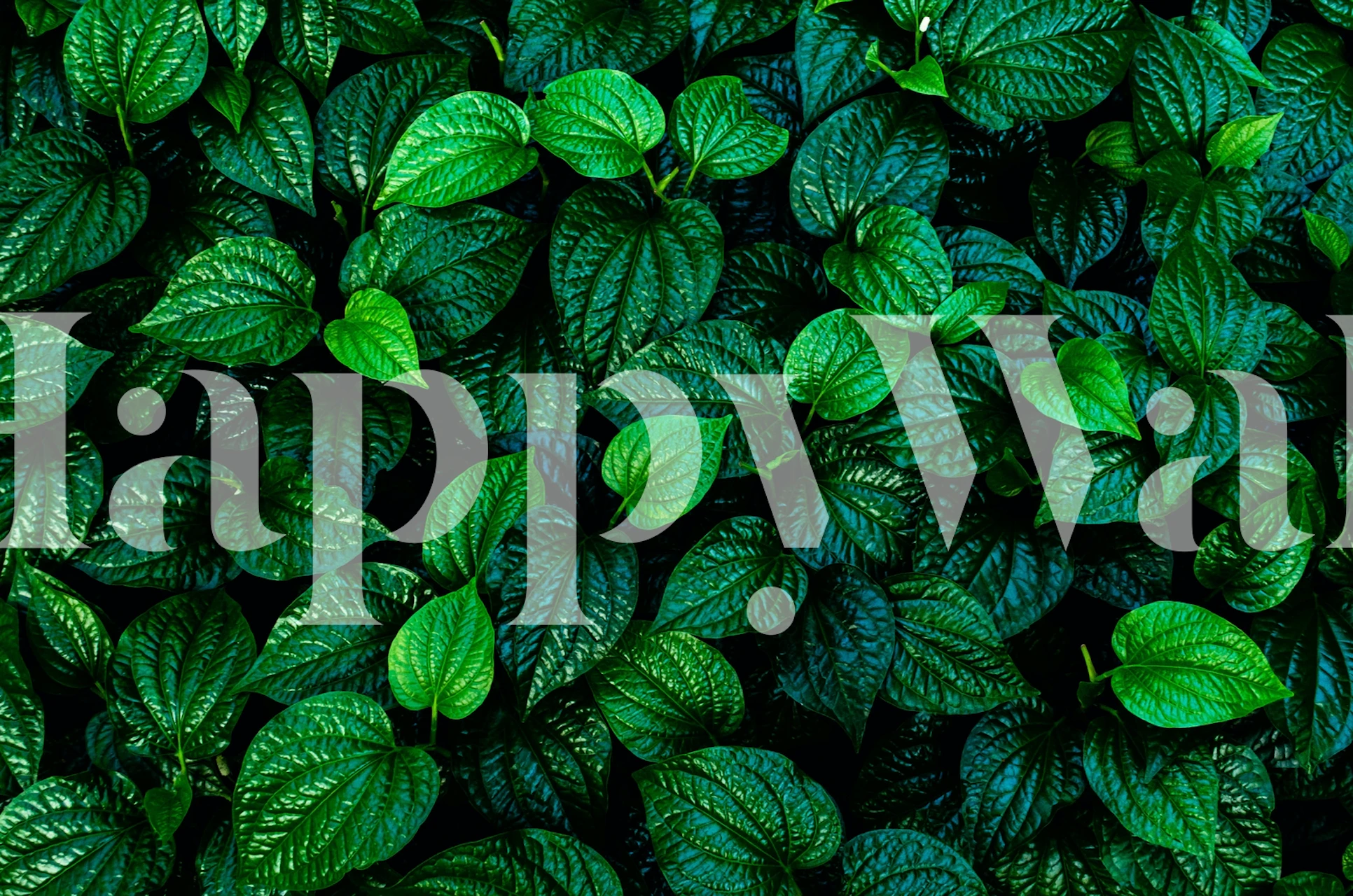 Green tropical leaves pattern wallpaper with textured surfaces