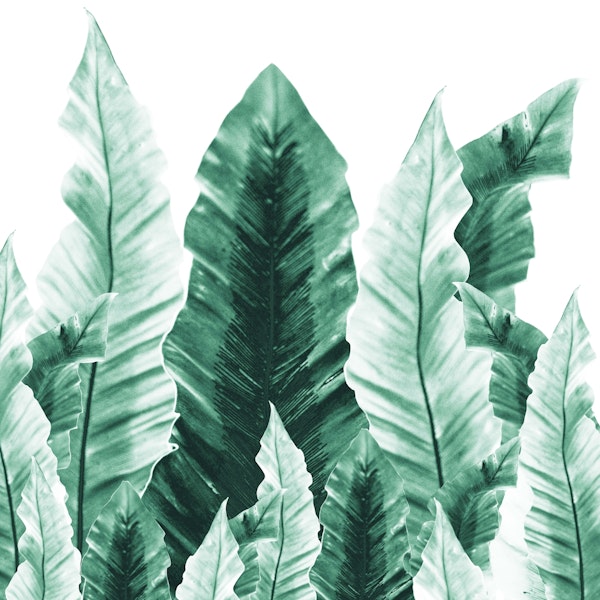 Underwater Leaves Vibes 2