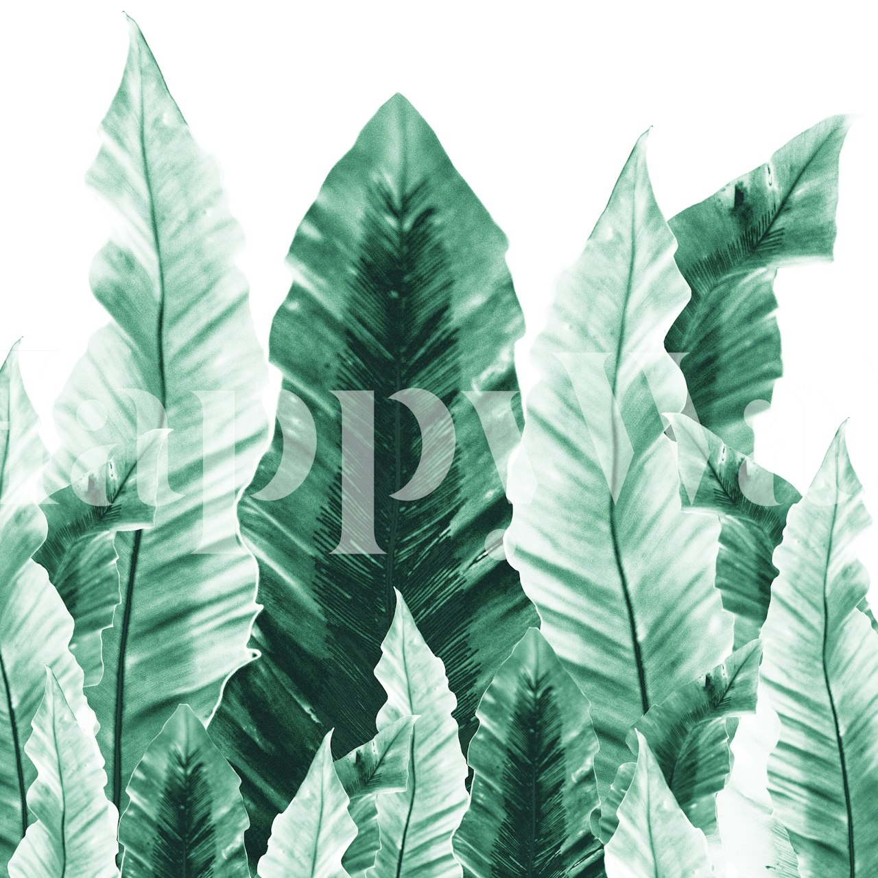 Tropical green leaves wallpaper with lush foliage