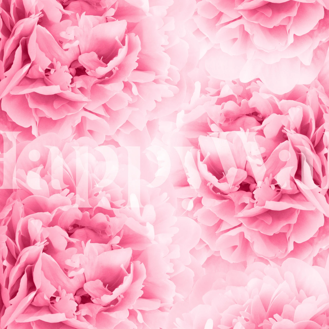 Light Red Peonies Dream tapet i ett rum