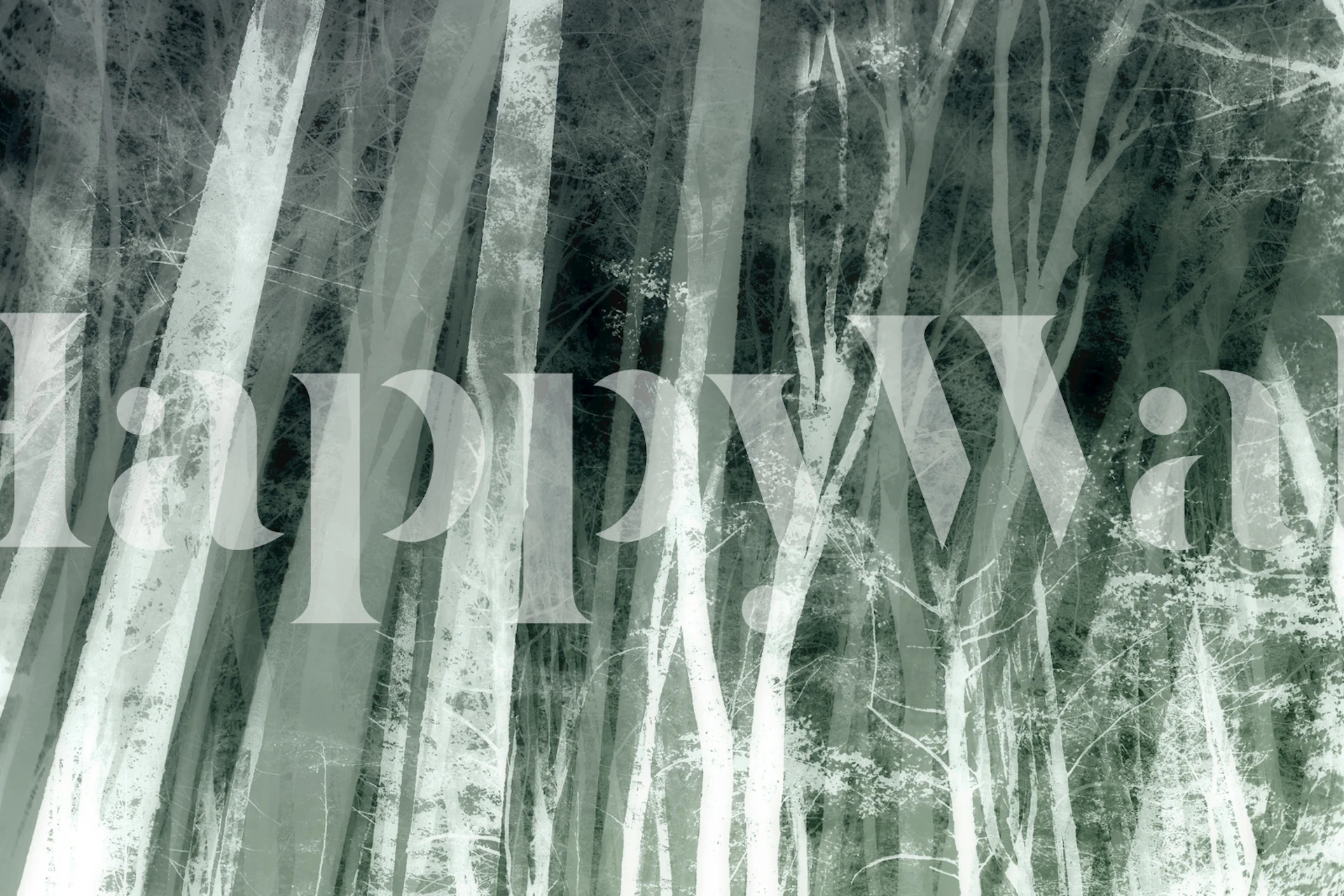 Trees in a black and white forest wallpaper