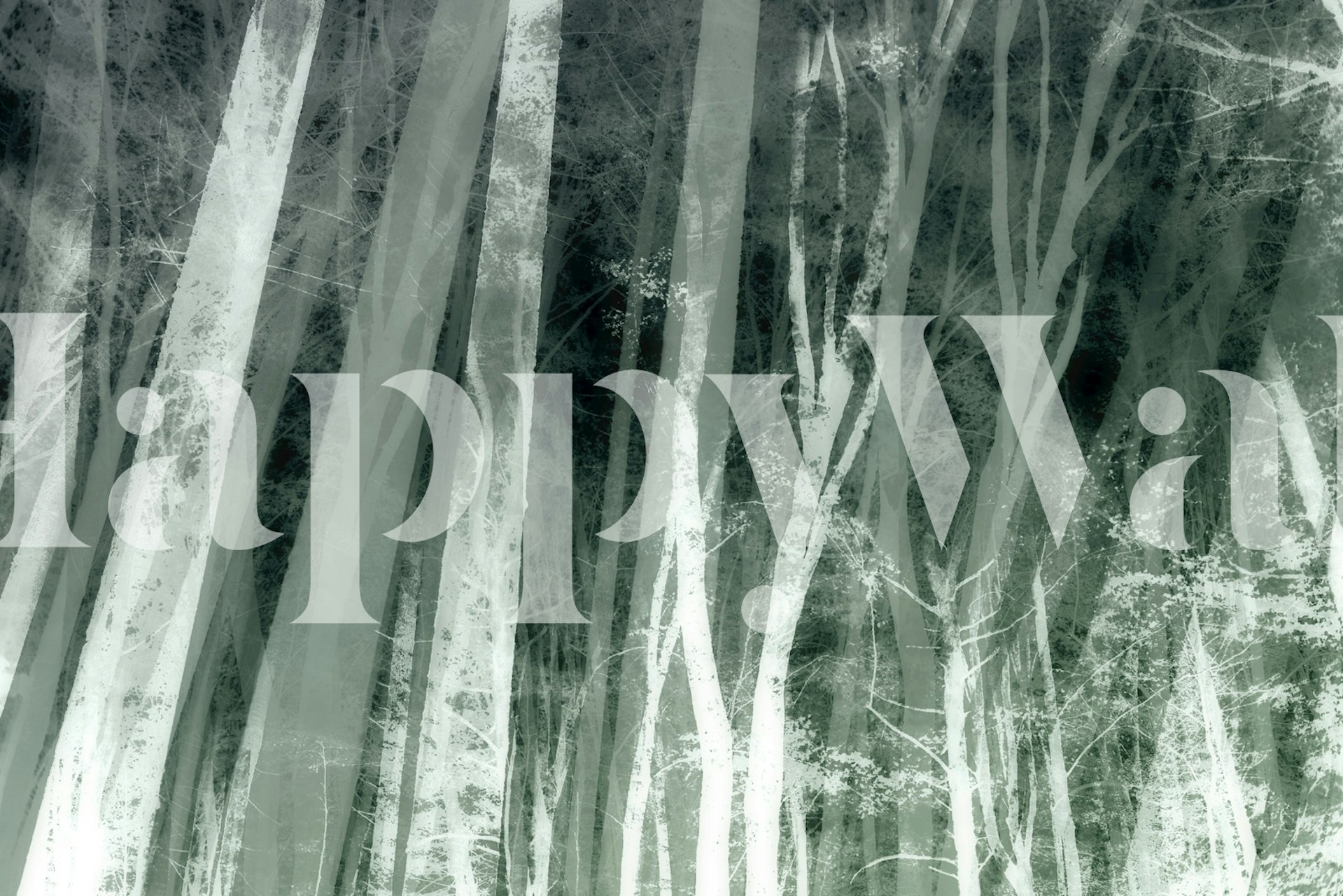 En fototapet av en skog i gråskala nyanser, med höga träd och en dimmig atmosfär.