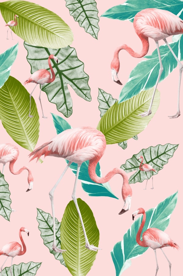 Pastel Flamingo Oasis 3