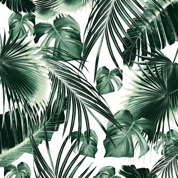 Tropical Jungle Leaves 7