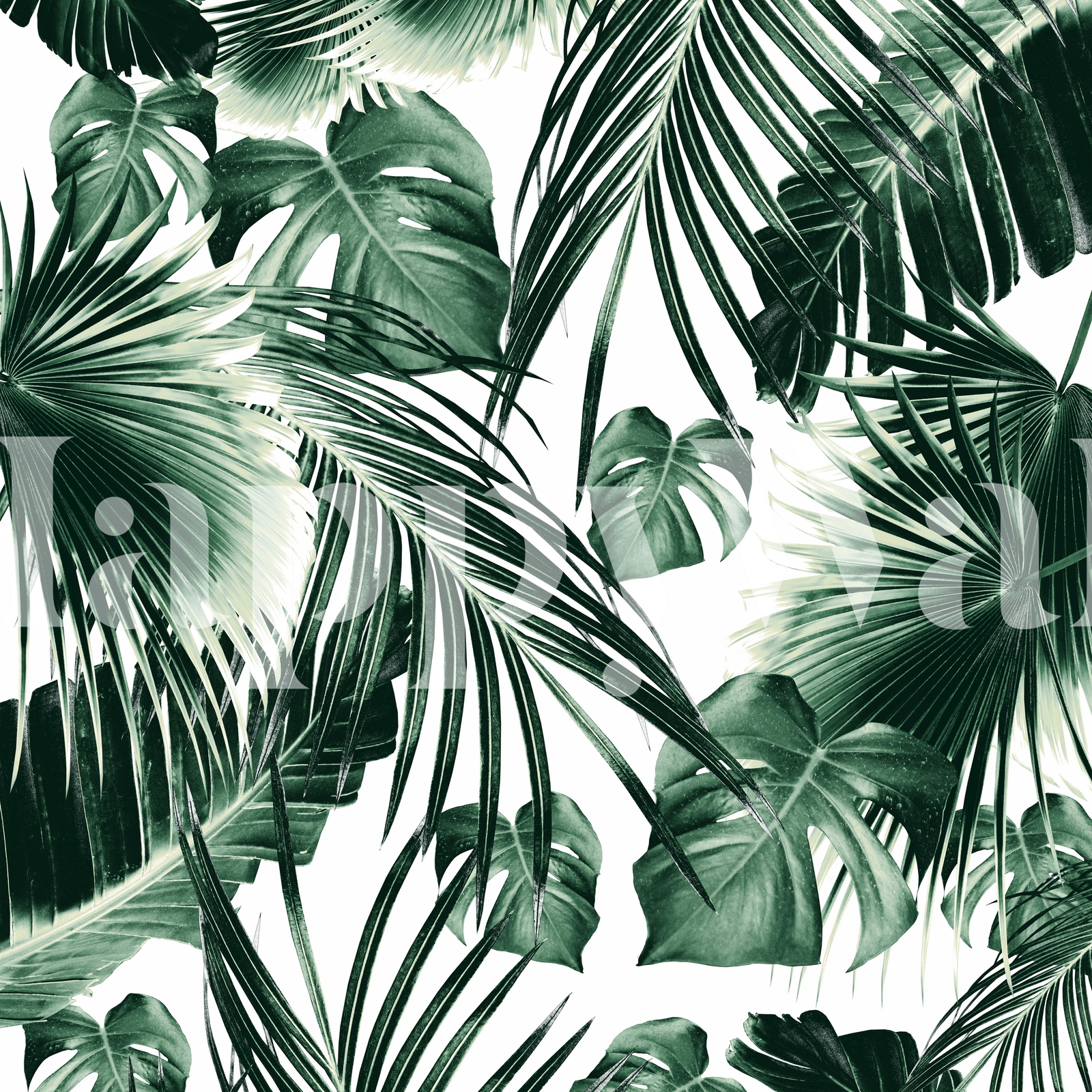 Tropical Jungle Leaves 7 Wallpaper.