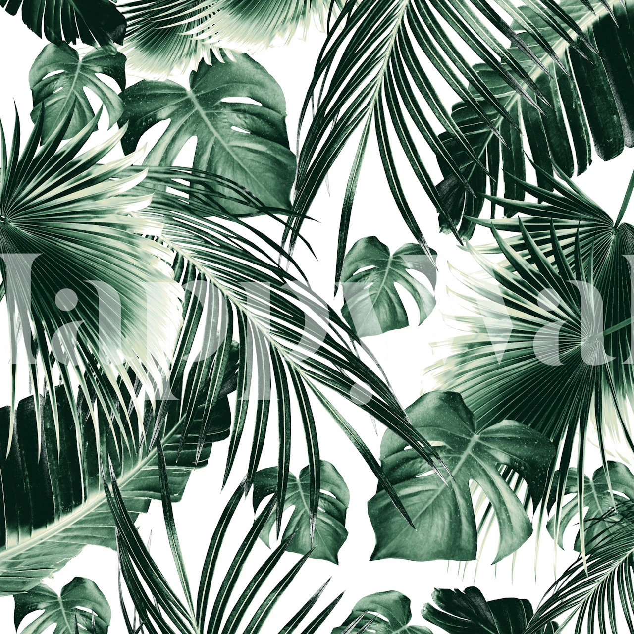 Tropical jungle leaves in green on white background wallpaper