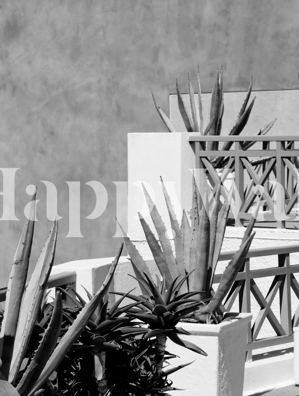 Santorini Agave Dream wallpaper in room