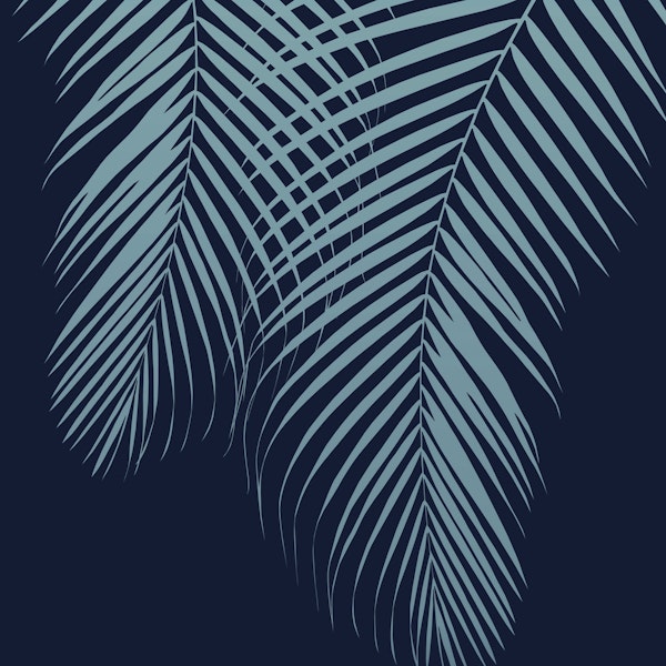 Summer Night Palm 2